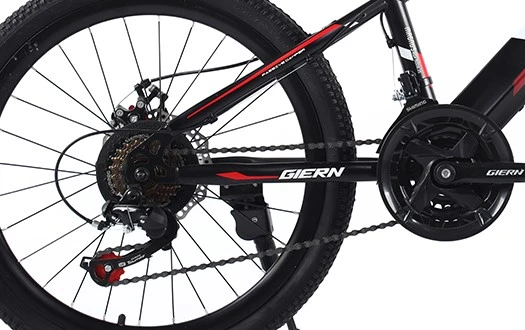 Derailleur system Derailleur system