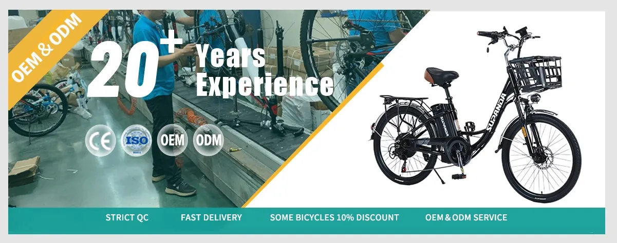 electric City bike electric City bike