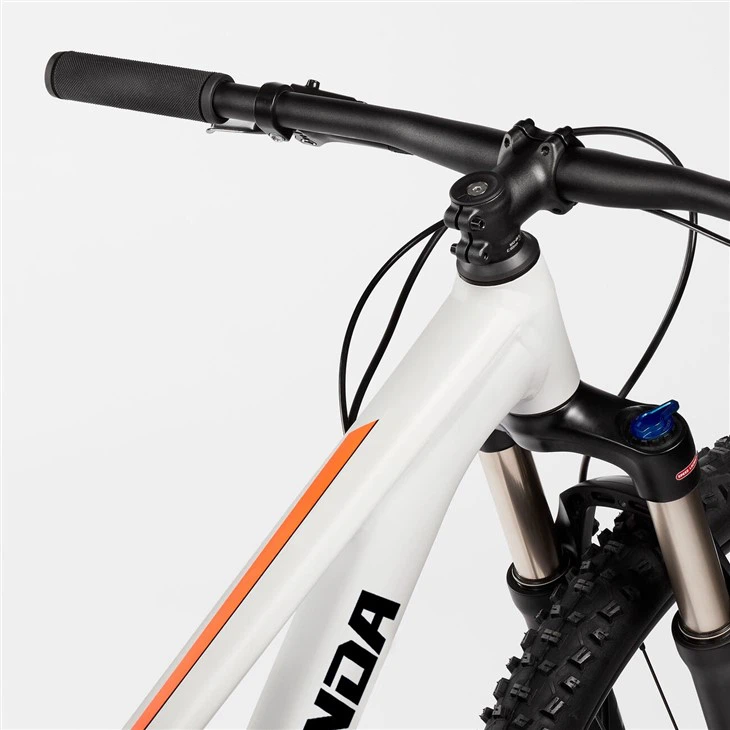 Carbon Cross Country Bike