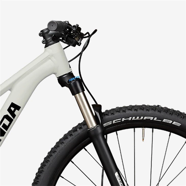 Carbon Cross Country Bike