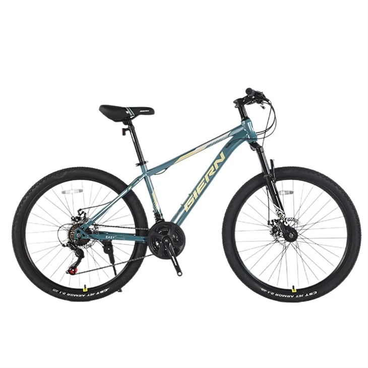 Gravel Bike Hardtail