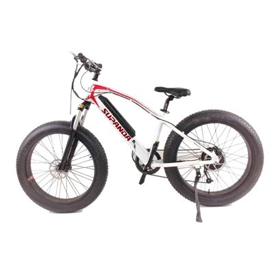 Moterų E Bike kalnas